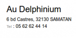 Au Delphinium
